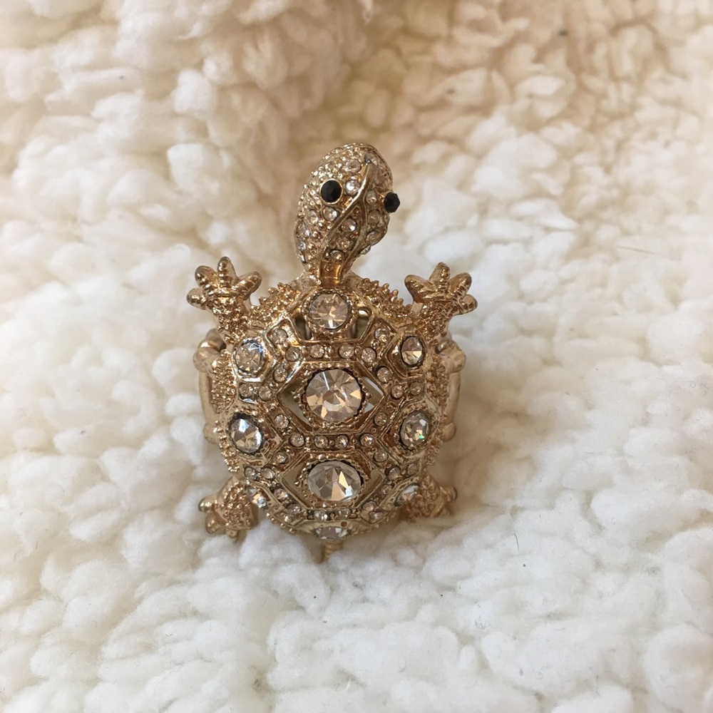 Turtle ring